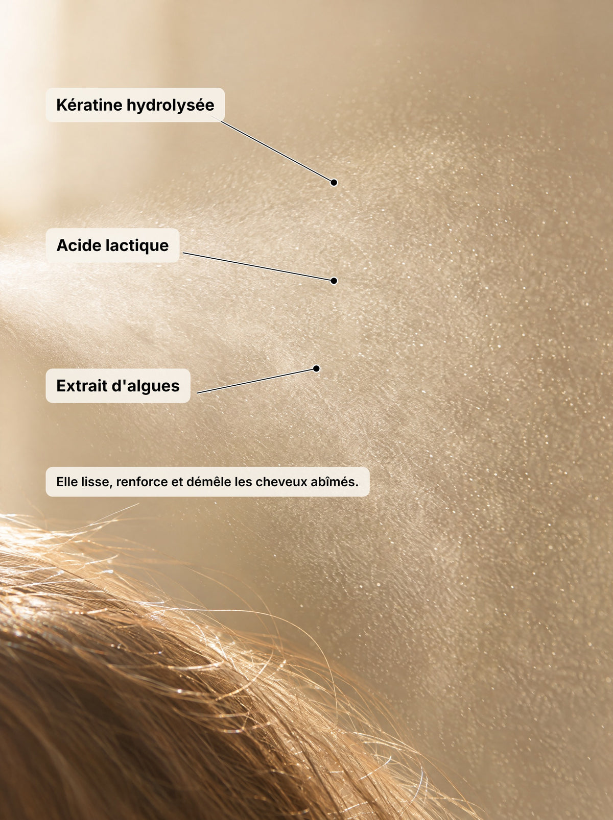 Les actifs de la brume cheveux FINOVA : kératine hydrolysée, acide lactique, extrait d'algues